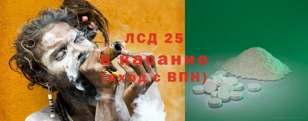 шишки Медвежьегорск