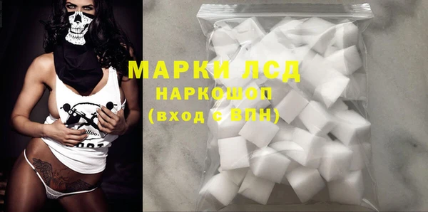 шишки Медвежьегорск