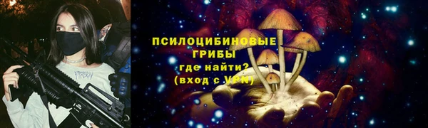 шишки Медвежьегорск