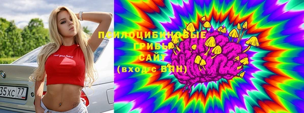 молекула духа Медногорск