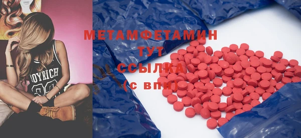 шишки Медвежьегорск
