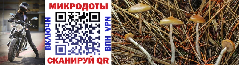 Псилоцибиновые грибы MAGIC MUSHROOMS  Нижневартовск 